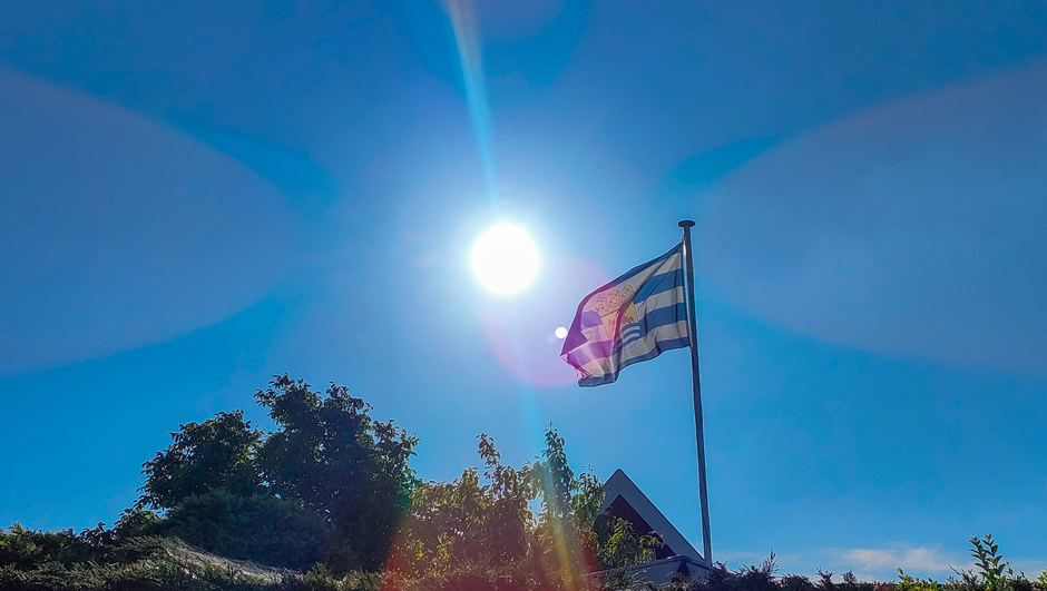 Zeeuwse vlag in de wind en de zon
