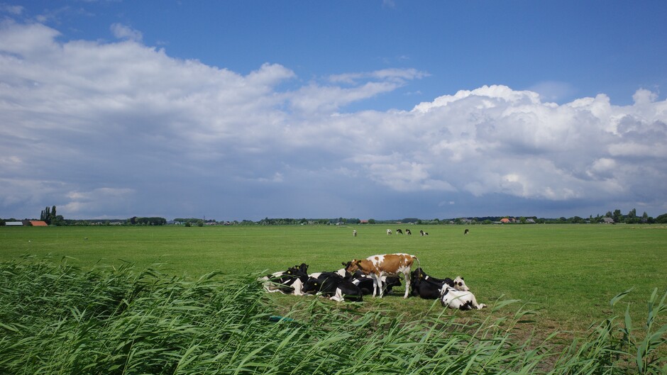 Zon en wolken in Midden-Nederland 