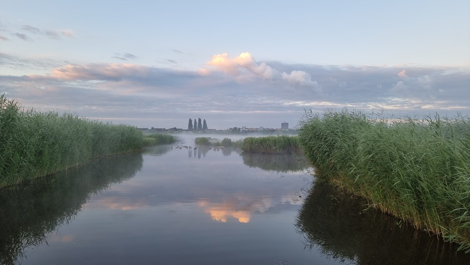 Vanochtendvroeg in de Schiedamse polder