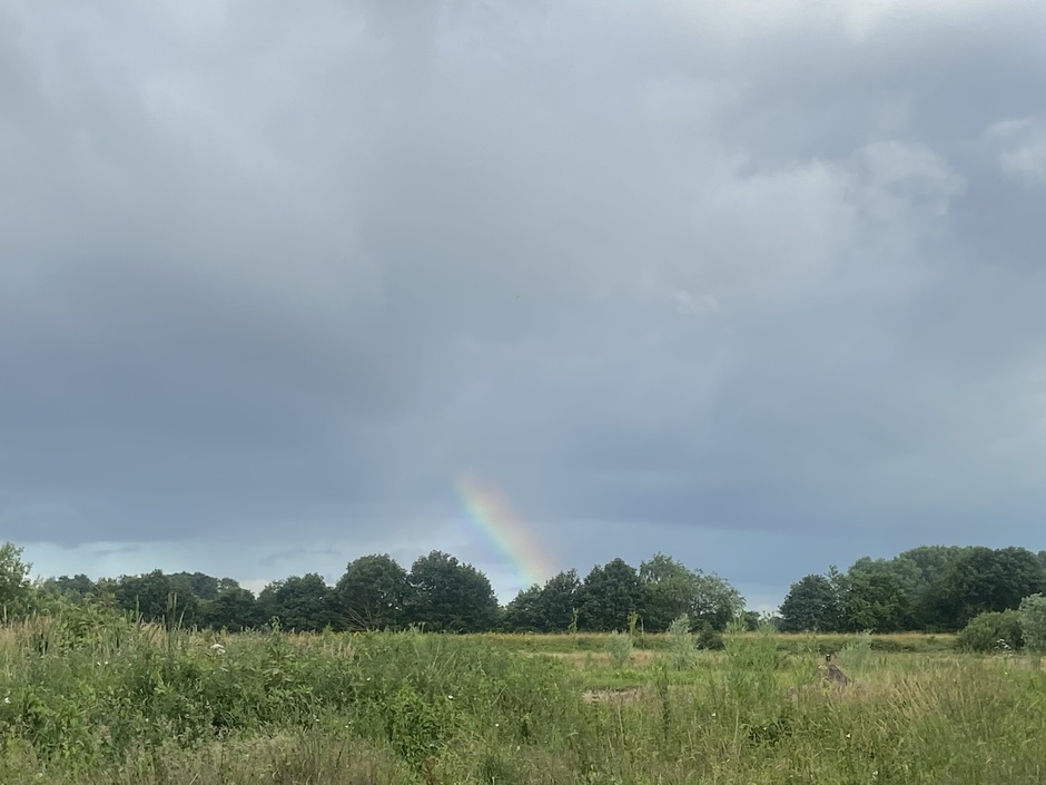 Regenboog(je) boven Groningen