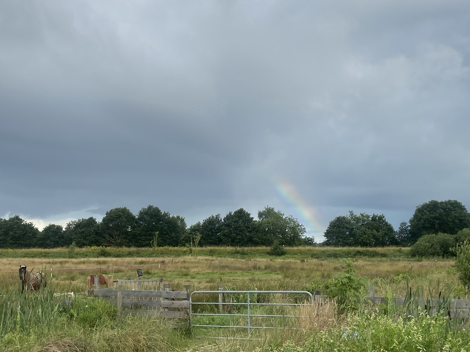 Iets dichterbij de regenboog boven Groningen