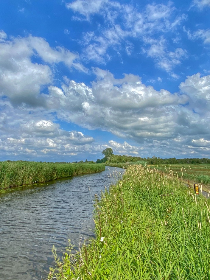 Fris groen polderlandschap onder blauwe wolkenlucht.