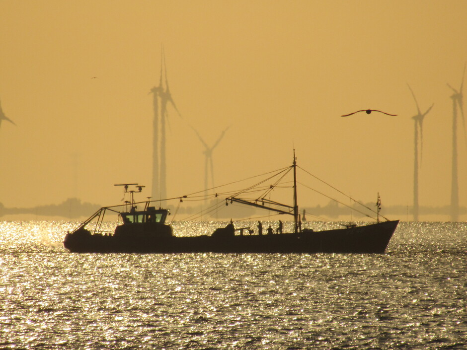 De silhouetten van de altijd vroege garnalenvissers, in het gouden zonlicht op de Oosterschelde