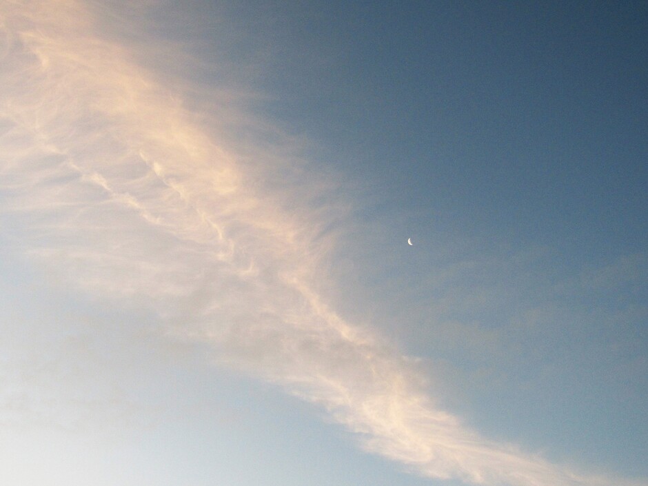 Een helder maantje en grote windveer te zien tijdens zonsopkomst