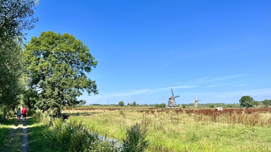 LAW door schitterend stuk Nederlands Polderlandschap  