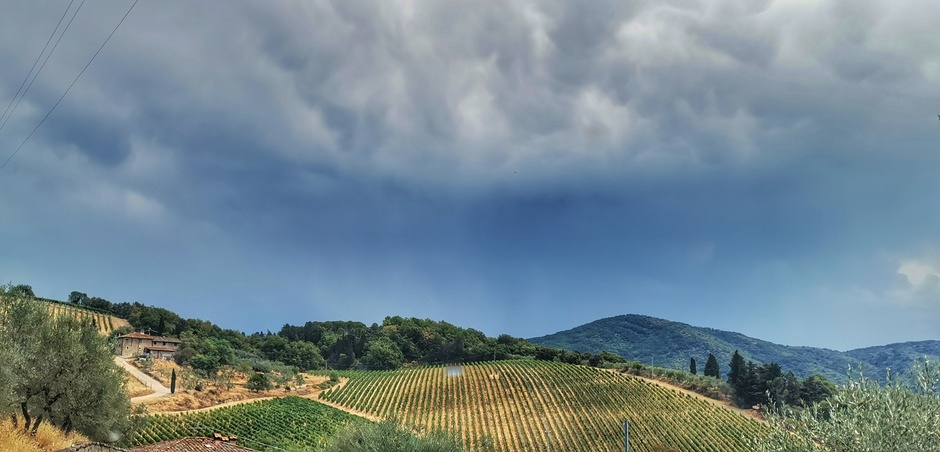Regen boven de wijngaarden 