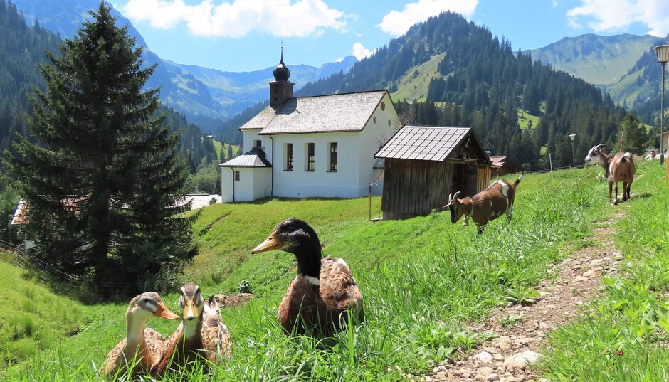 Alpen: droog en vrij warm