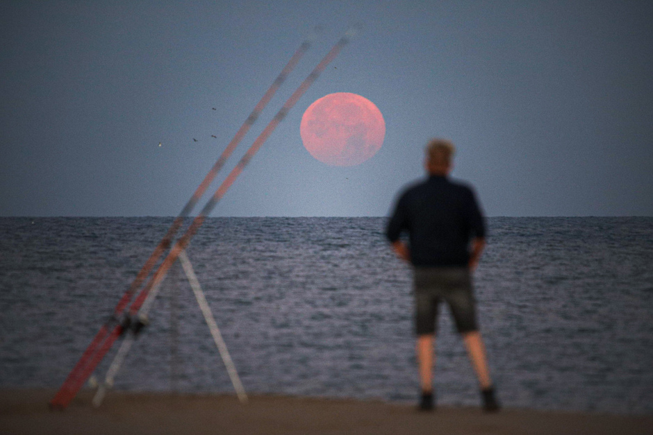 Fishing to the moon.