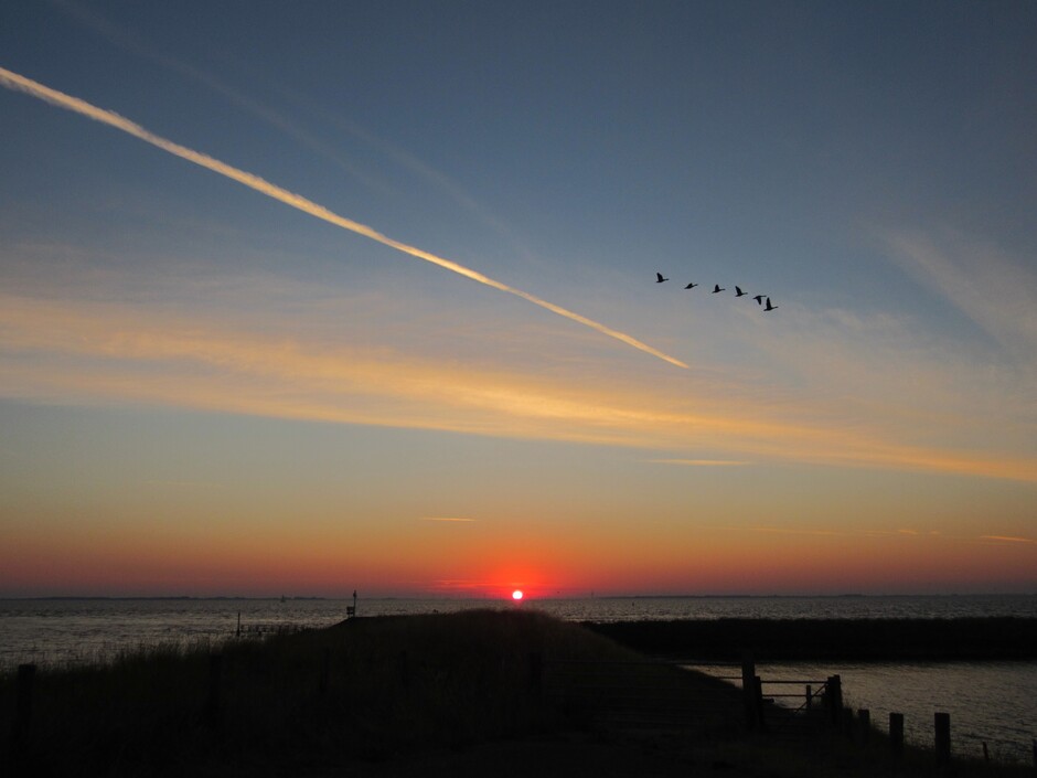 De zon komt op met sluierbewolking boven de Oosterschelde, de ganzen zijn ook wakker....