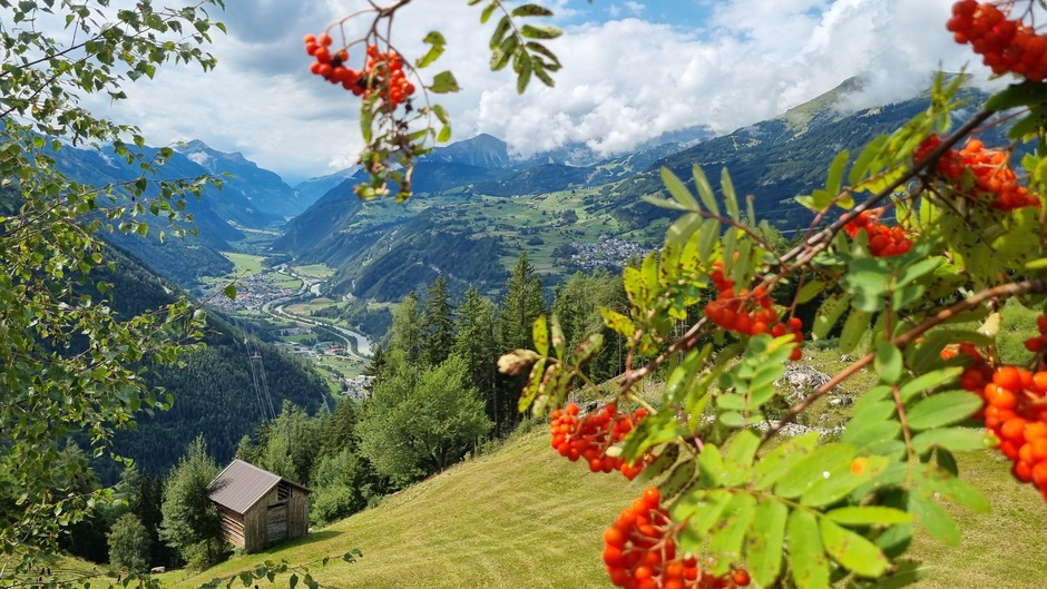 Alpen : na buien even zonnig en droog