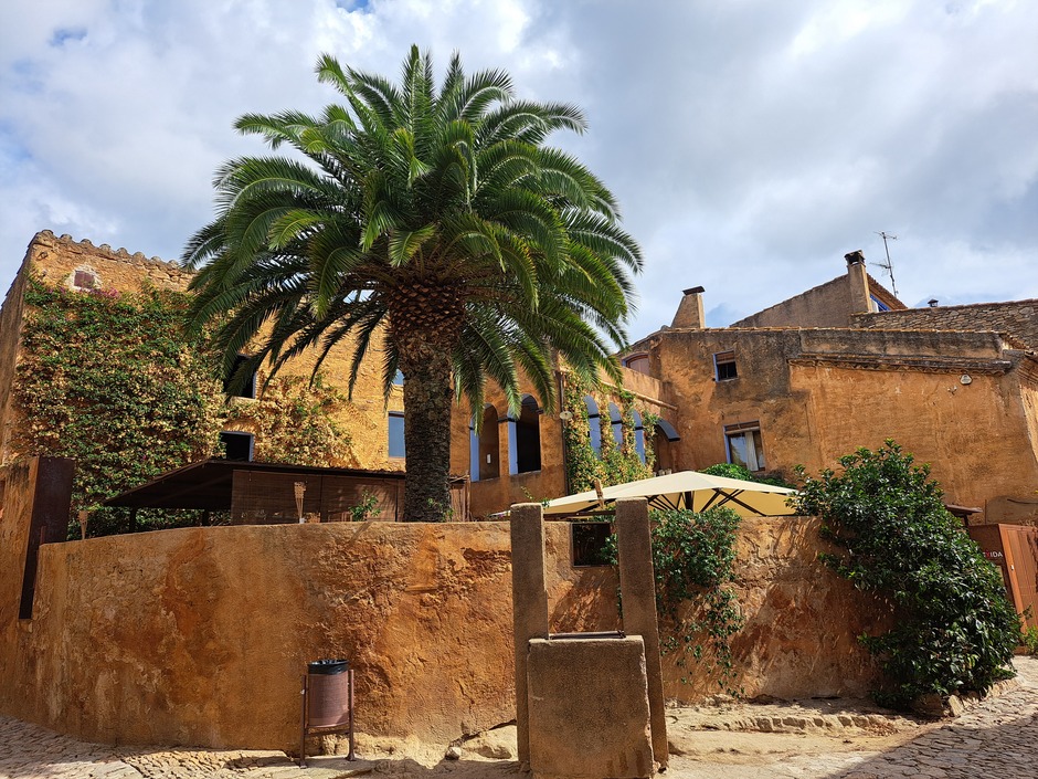 Prachtige palmboom in Spaans dorpje