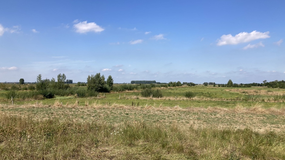 Brabants platteland