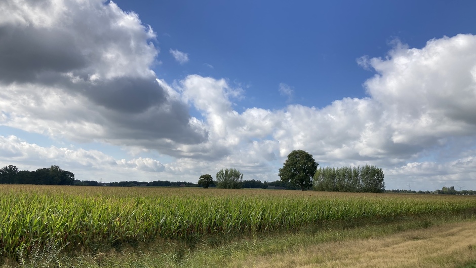 Wolkenstraten boven Brabant.