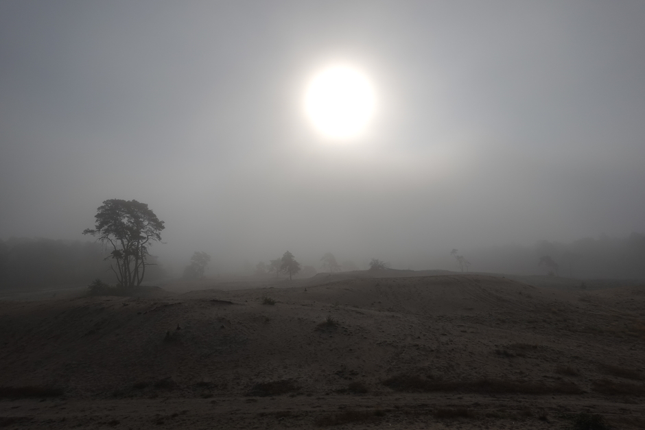 Mist over de Sahara II