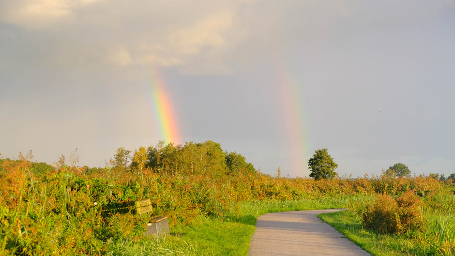 Regenbogen bij Wanneperveen