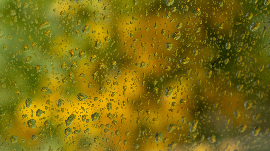 Herfstkleuren in de regendruppels