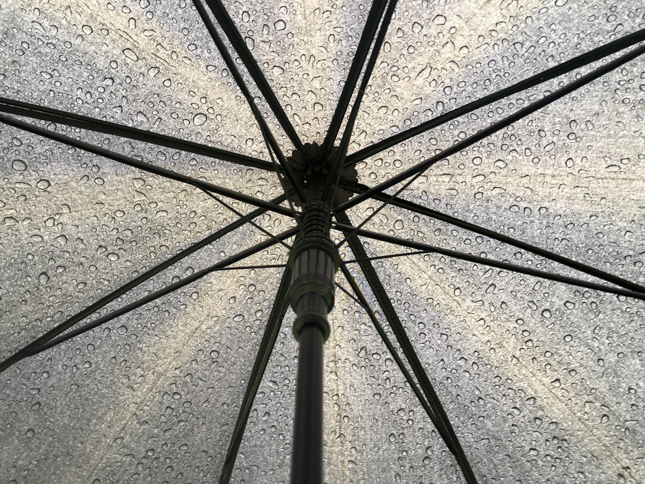 Paraplu 