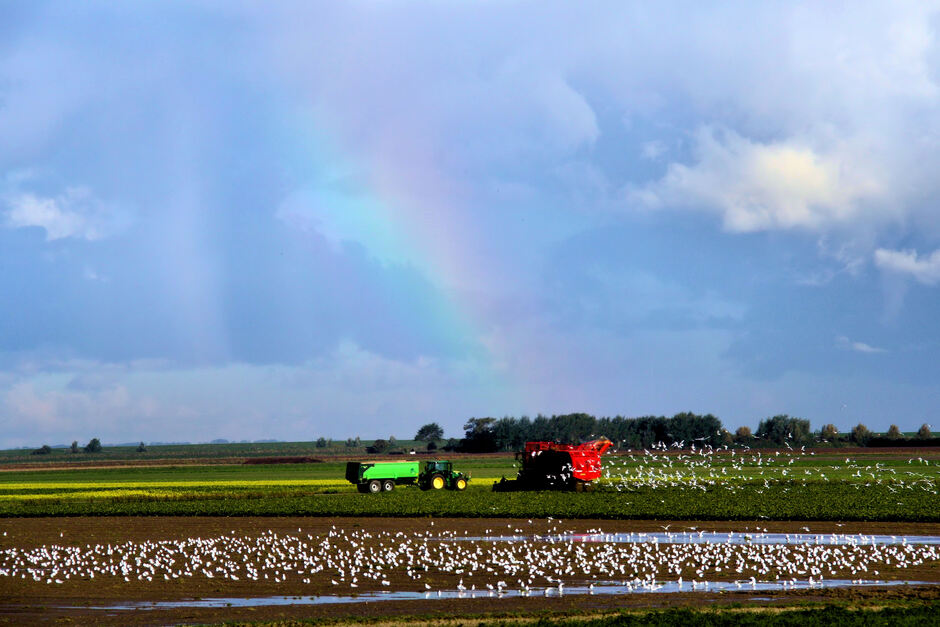 Boeren aan het werk onder een regenboog op een land vol plassen