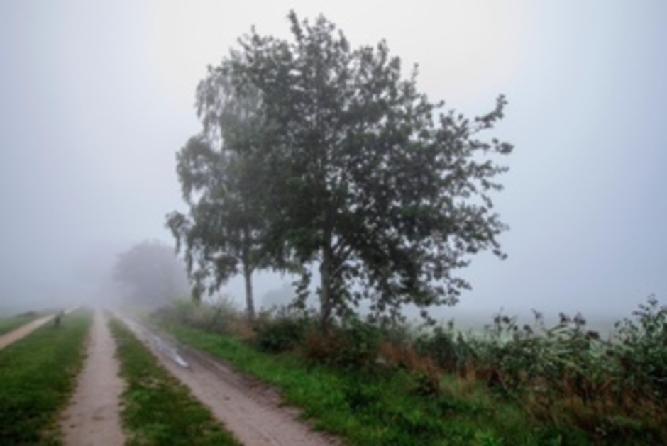 Mist/herfst. Borger. 29-09-2022.