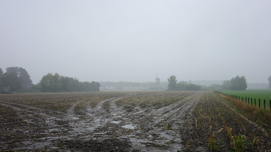 Sompig landschap, regen en een grijze lucht in Midden-Nederland