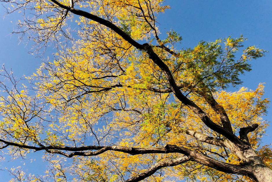 Blauwe lucht en fraaie herfstkleuren