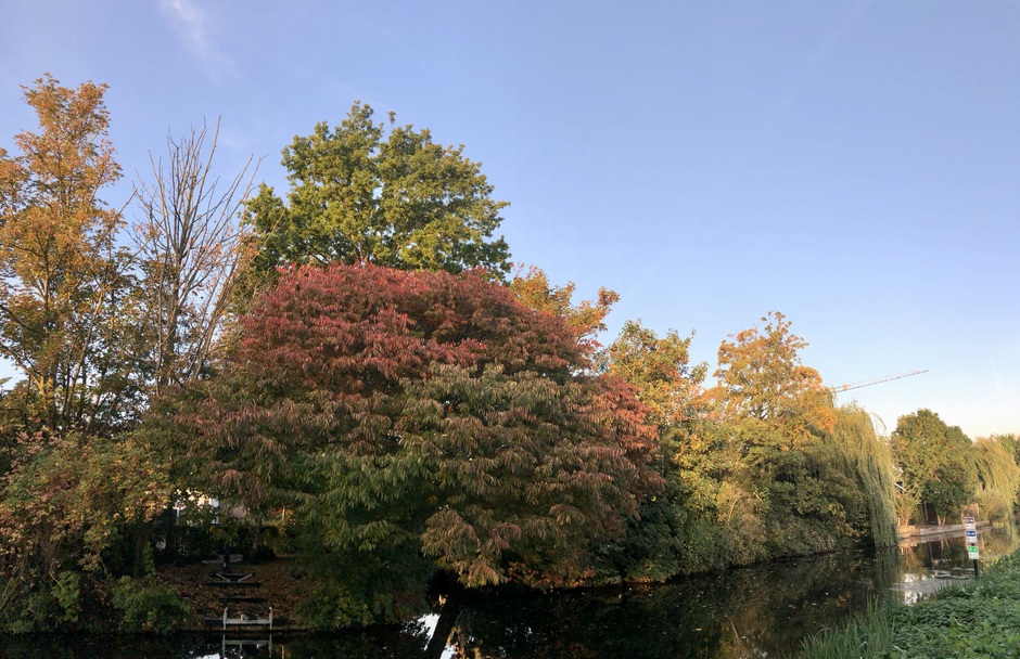 Prachtige herfstkleuren in de natuur 