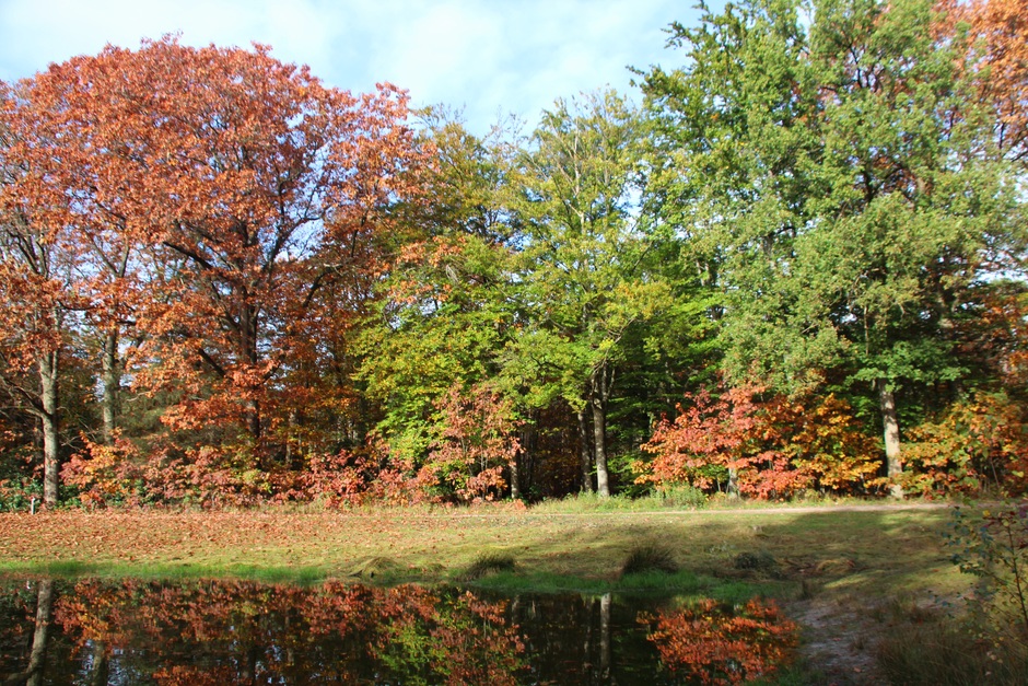 De kleuren van de herfst spiegelen in het water...