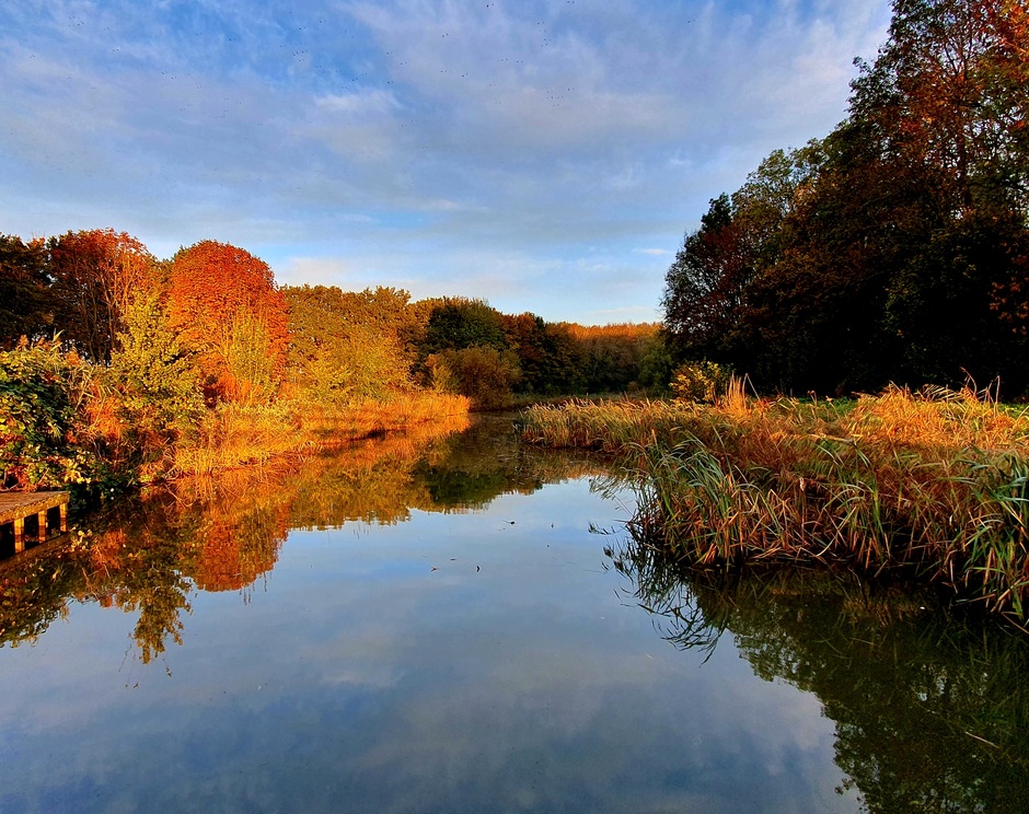 Mooie reflectie van de herfstkleuren tijdens golden hour.. 