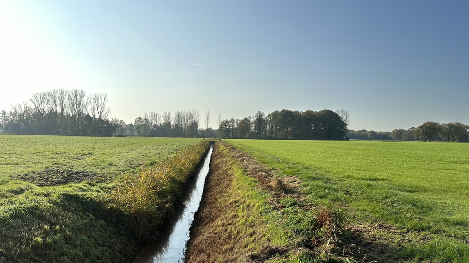 Stralende blauwe lucht in Limburg