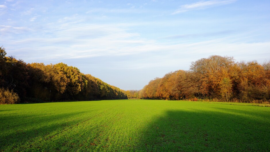 Herfstkleuren, zon en bewolking in Midden-Nederland 