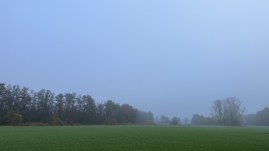 Mist in Limburg 
