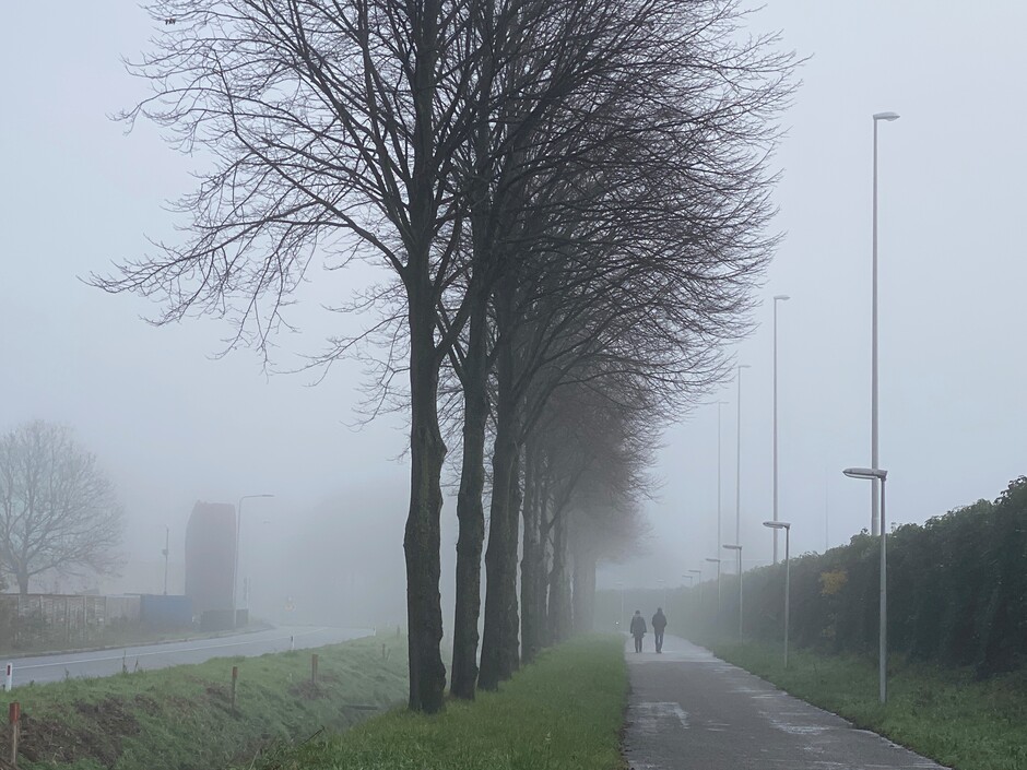 wandeling in de mist