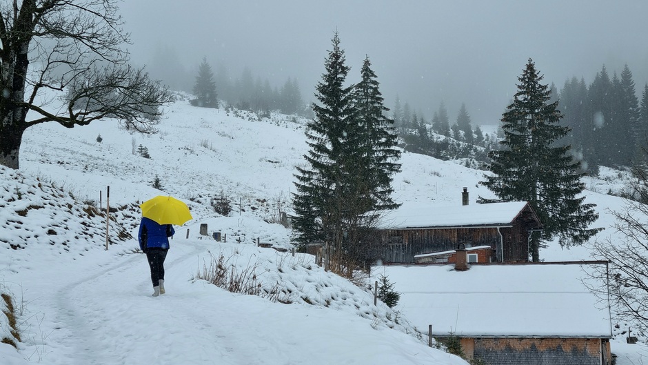 Alpen: wat sneeuw