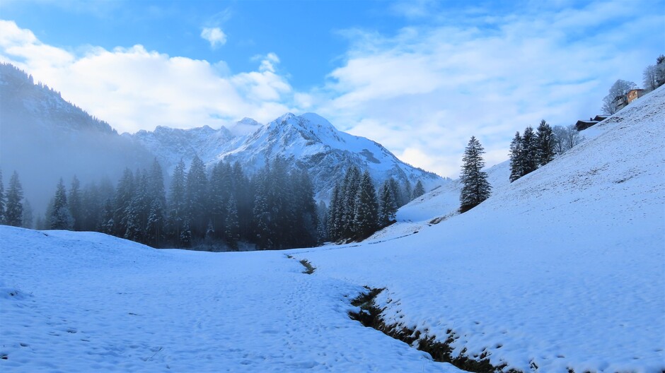 Alpen: nevel/zon en wolken