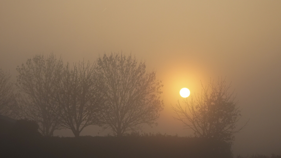 De zon in de dichte mist