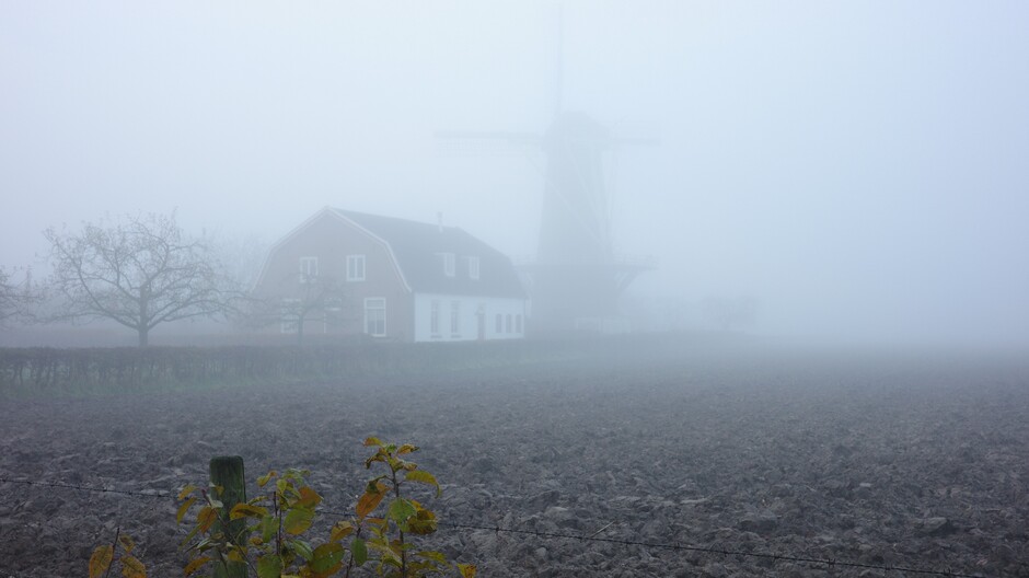 Mist in een verstild landschap in Midden-Nederland 
