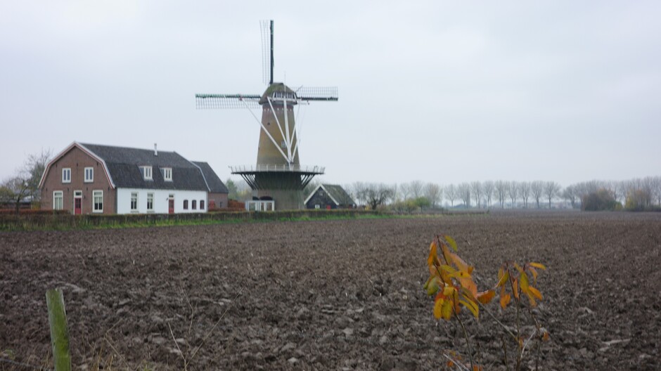 Grijze lucht met weinig licht vandaag in Midden-Nederland 