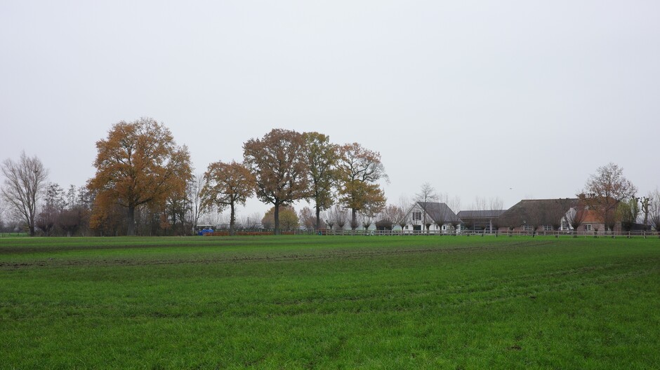 Grijs, snijdende kou en een herfstachtig landschap in Midden-Nederland 