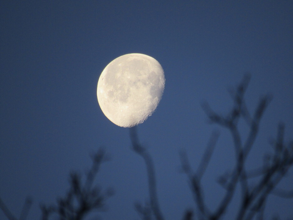 Heldere maan vanmorgen vroeg, nachtvorst, -3 graden