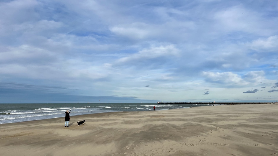Strandplezier voor mens en dier op het stille strand 