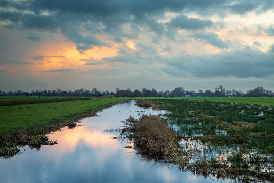 Hoog water in de polder