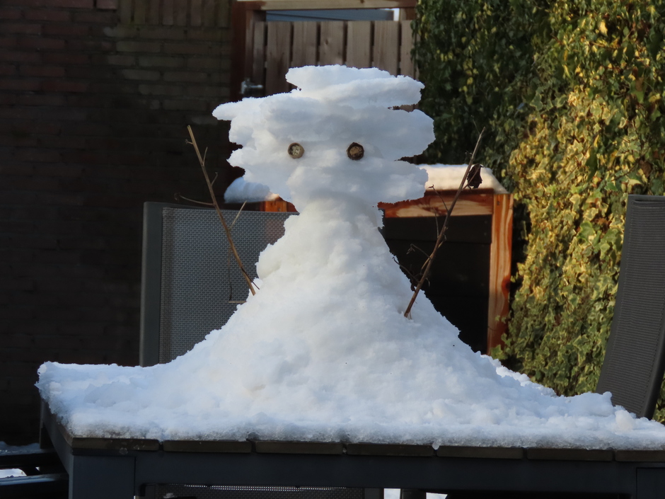 Alternatieve sneeuwpop :)