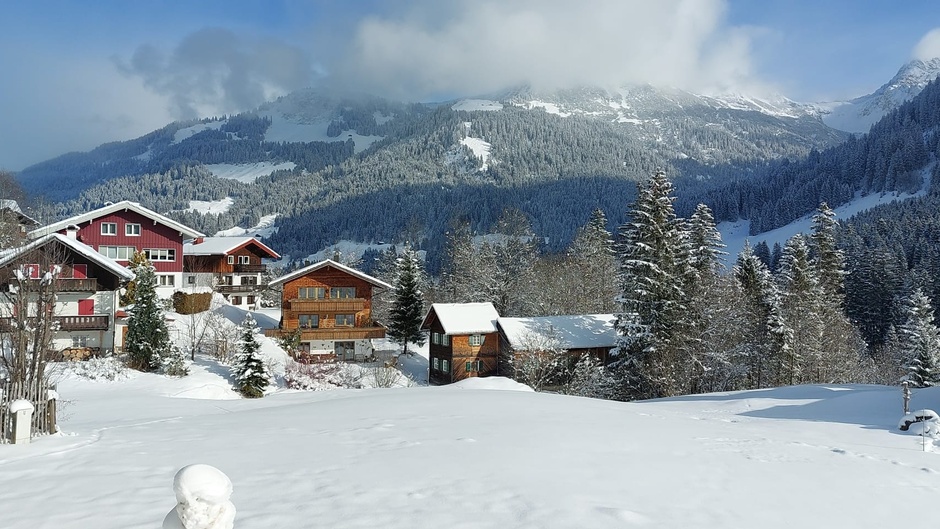 Alpen: zon, verse sneeuw, koud
