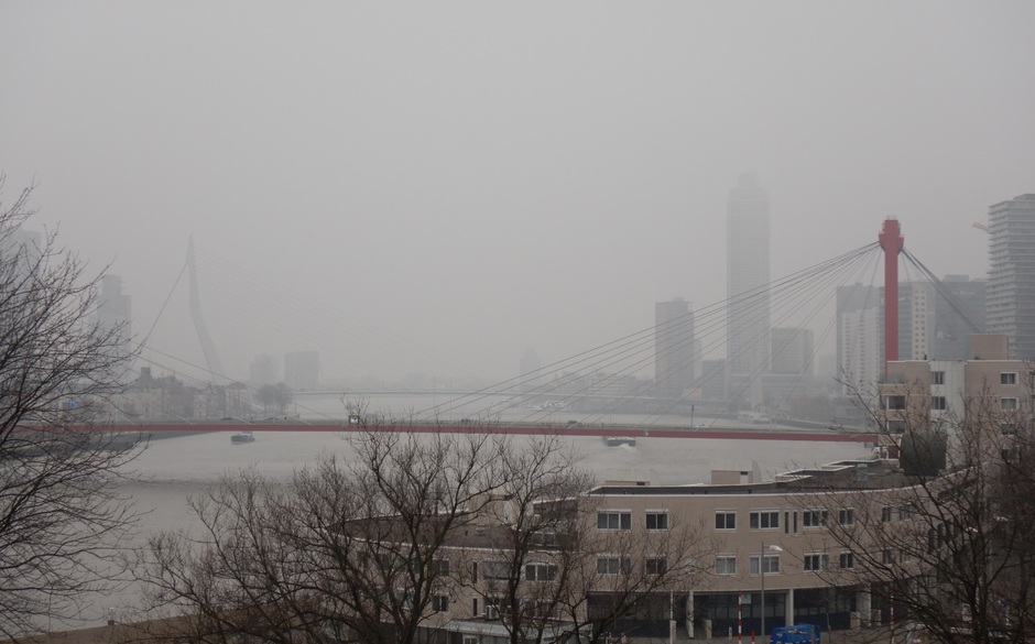 Een grijze dag met zicht op de Nieuwe Maas.