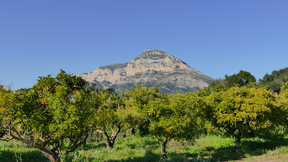 Uitzicht op de Montgo, voorgrond sinaasappelbomen 