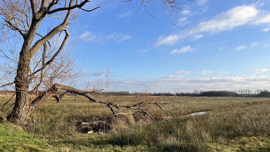 Boerenlandschap ten noorden van Breda.