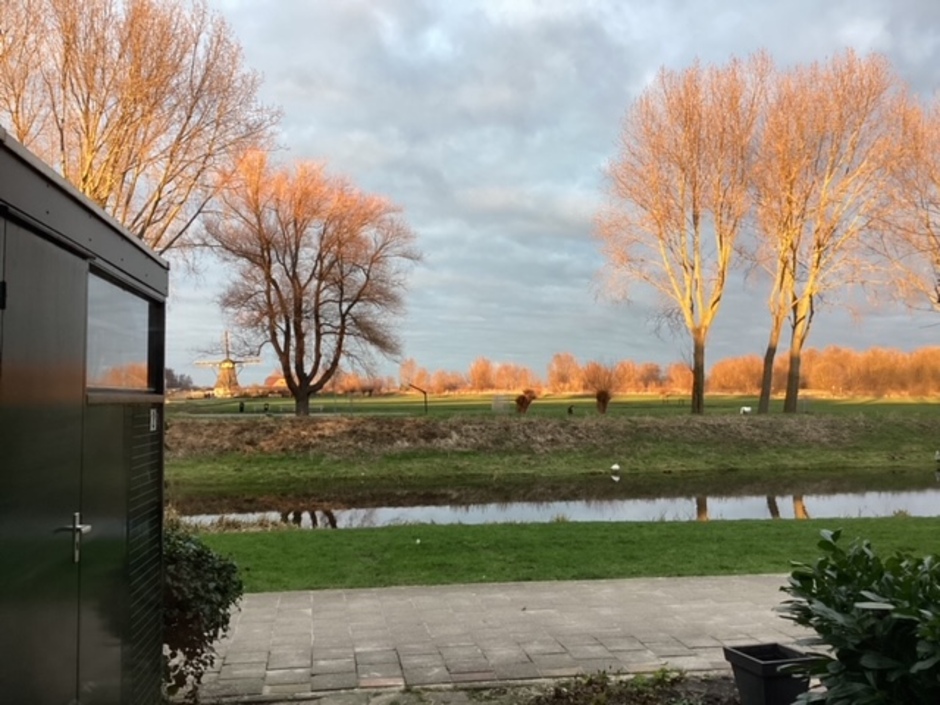 Zaterdag : het licht van de ondergaande zon op de polder voor mijn huis in de Merenwijk  in Leiden . 