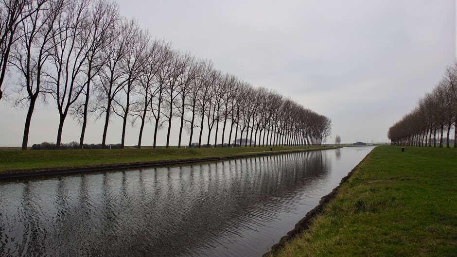 grijs weer 4gr aan het kanaal met bomen en reflectie