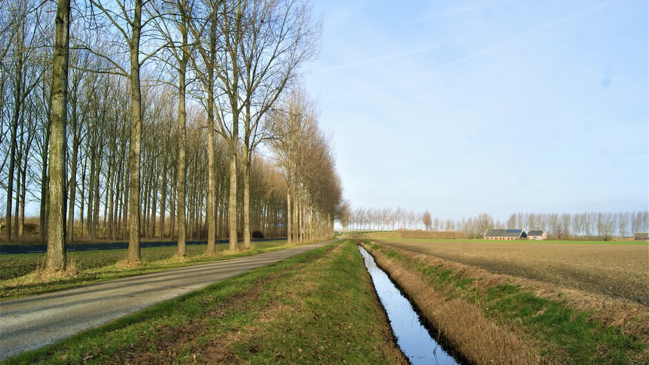 zon blauwe lucht sluier bewolking 7 gr in de polder