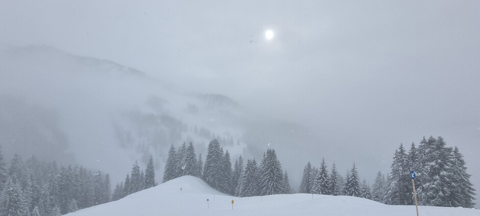 Veel verse sneeuw in Oostenrijk